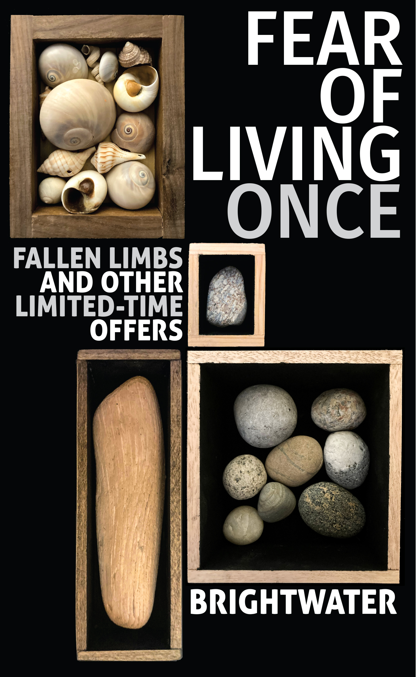 Fear of Living Once book cover